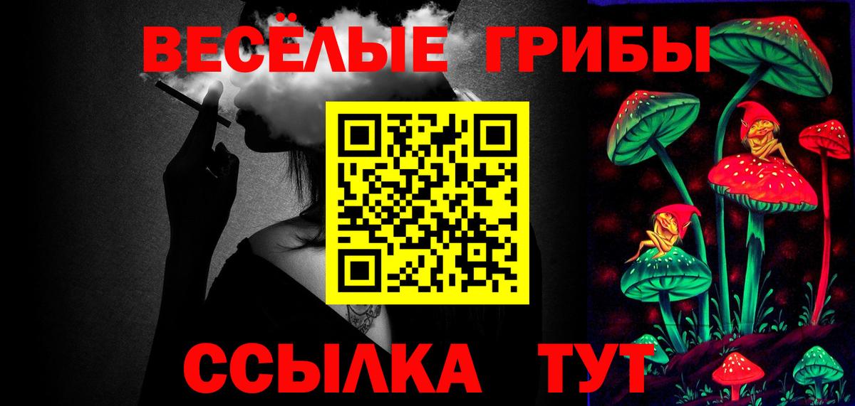 Псилоцибиновые грибы GOLDEN TEACHER Чапаевск