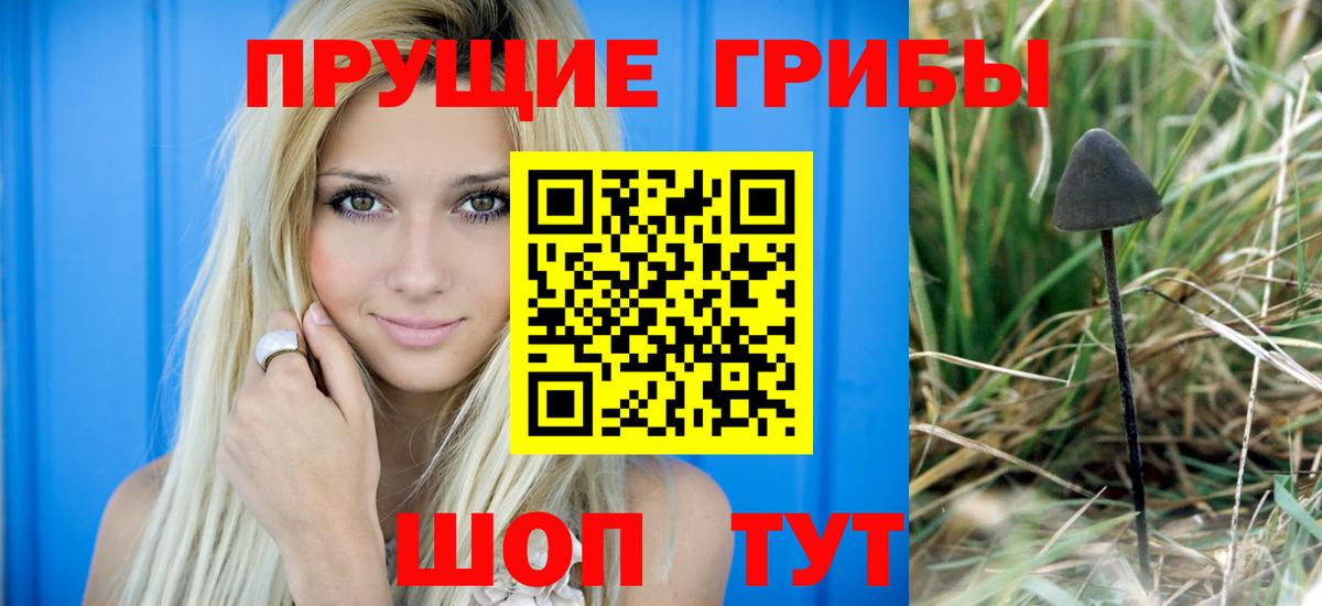 Псилоцибиновые грибы прущие грибы  Вход с VPN  Чапаевск  Псилоцибиновые грибы мухоморы 